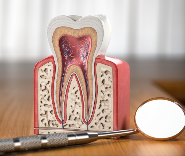 Model of tooth sitting next to dental mirror