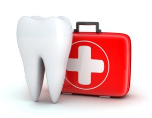Dental emergency kit and molar